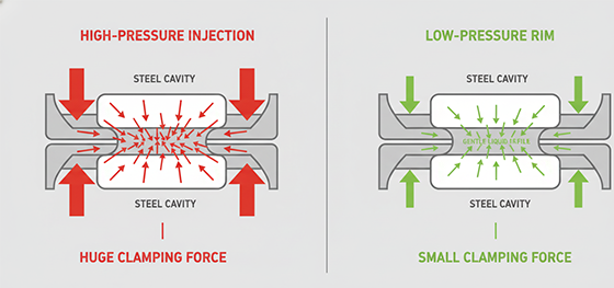 RIM process science RIM process science
