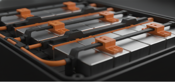 electric vehicle battery pack internals
