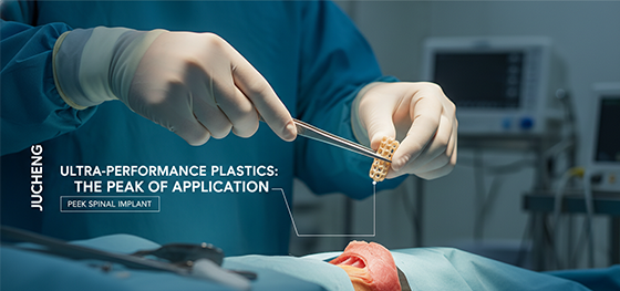PEEK spinal implant