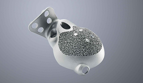 Parts Inside the Body