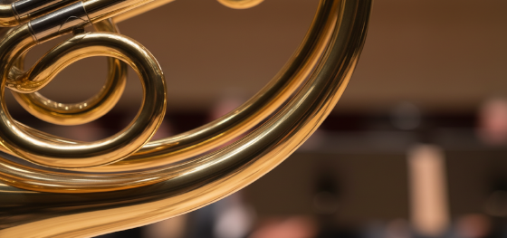 C260 brass musical instrument