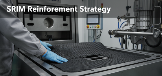 structural reaction injection molding srim