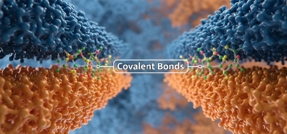 chemical bonding physics