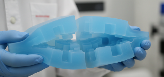 silicone mold halves