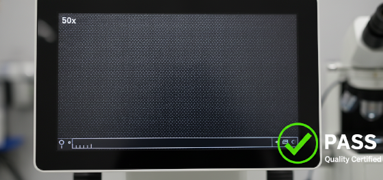 quality assurance audit